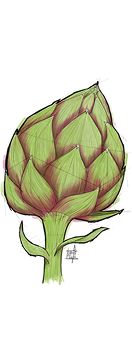 Artichoke