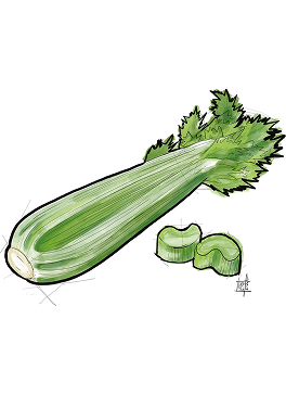 Celery