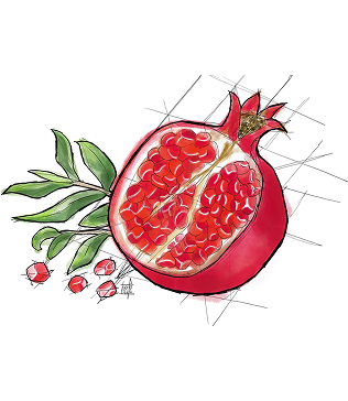 Pomegranate